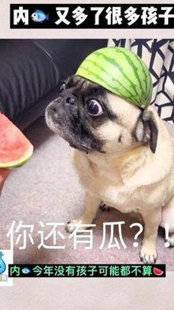 娱乐吃瓜君婴儿,揭秘婴儿的神奇成长之旅  第2张